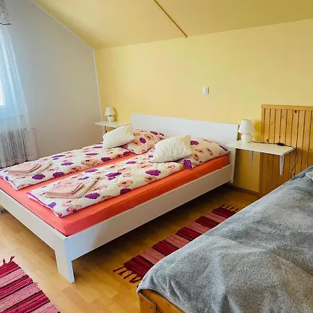 Apartma Pavla *