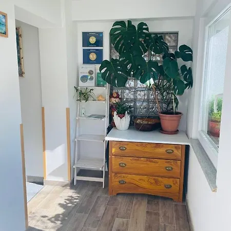 Apartma Pavla דירה