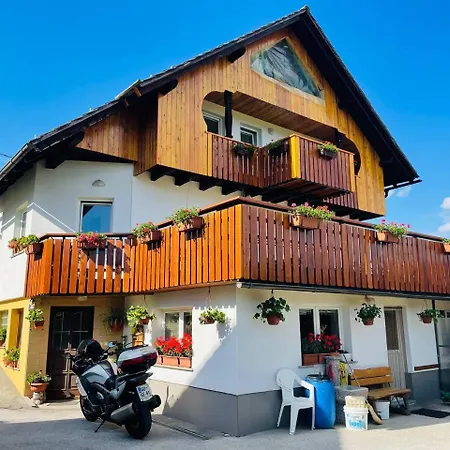 Apartma Pavla דירה Spodnje Gorje