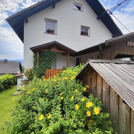 Apartma & Studio Pavla Spodnje Gorje