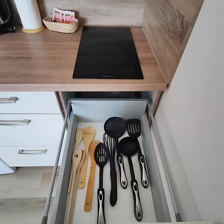 Apartma & Studio Pavla *