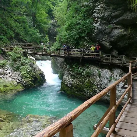 Apartma Pavla Spodnje Gorje