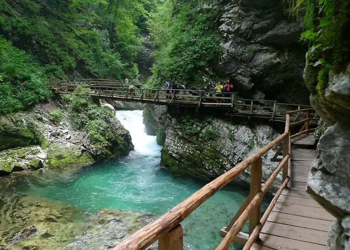 Apartma Pavla Spodnje Gorje